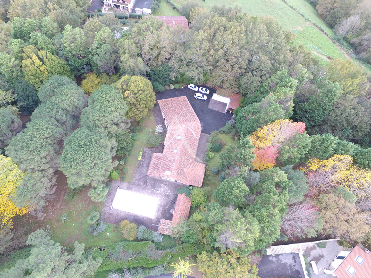 Photo Propriété de 310 m²  avec logement indépendant - Parc arboré - Piscine image 6/6