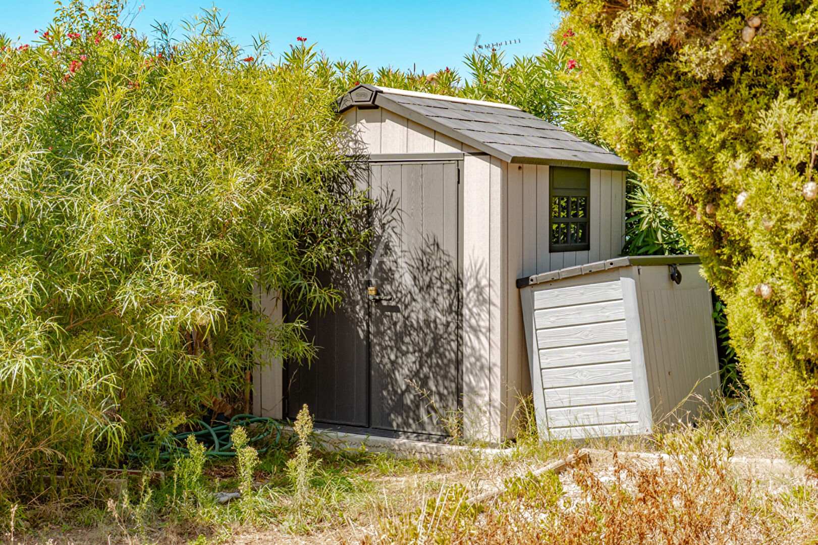 Photo Carqueiranne Appartement rez-de-jardin  3 pièce(s) 50 m2 image 6/6