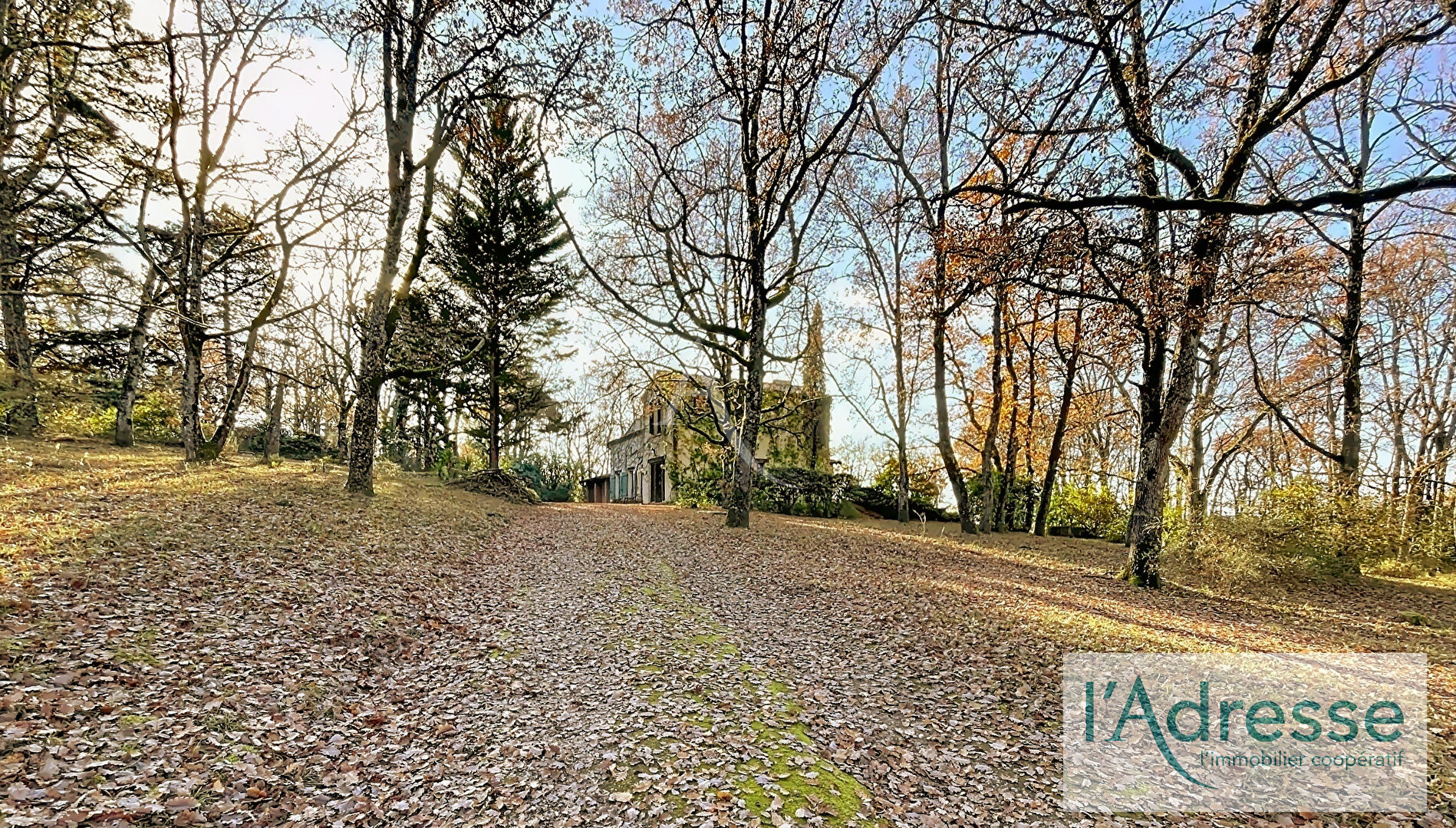 Photo BOULOC 31620 image 5/6