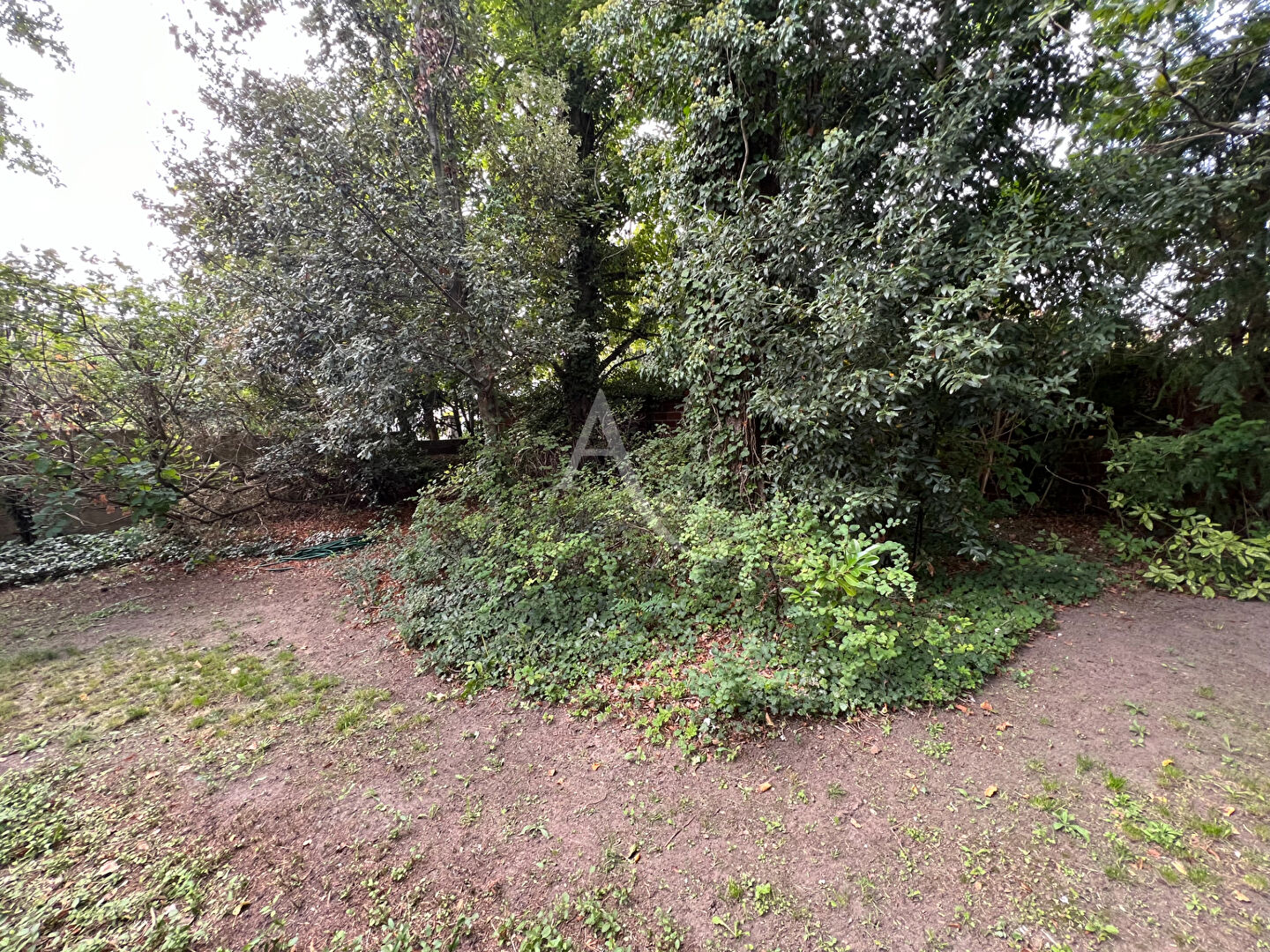 Photo Maison Conflans Sainte Honorine 2 pièces 70 m2 image 3/6