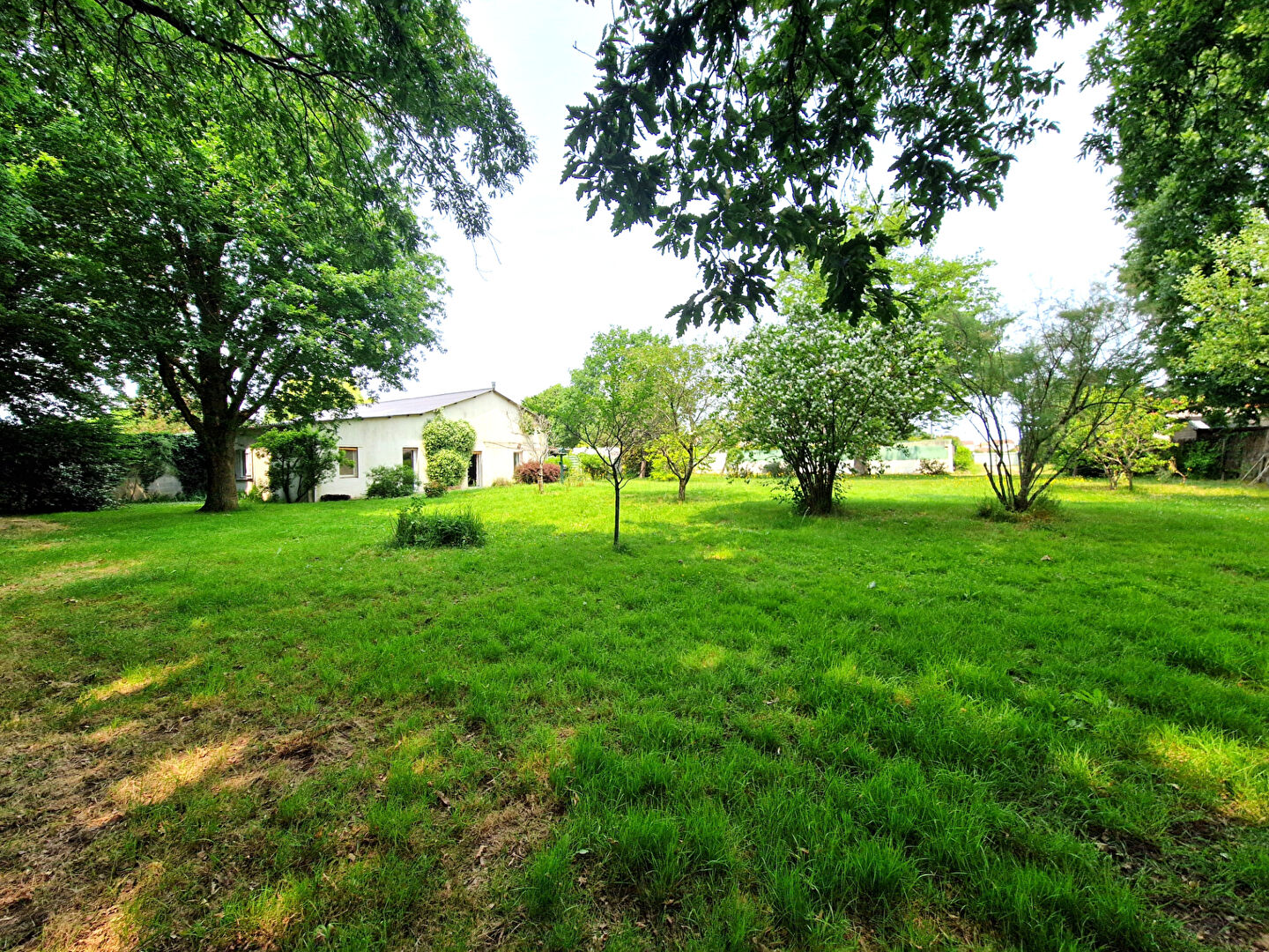 Agence immobilière de L'Adresse Agence 230