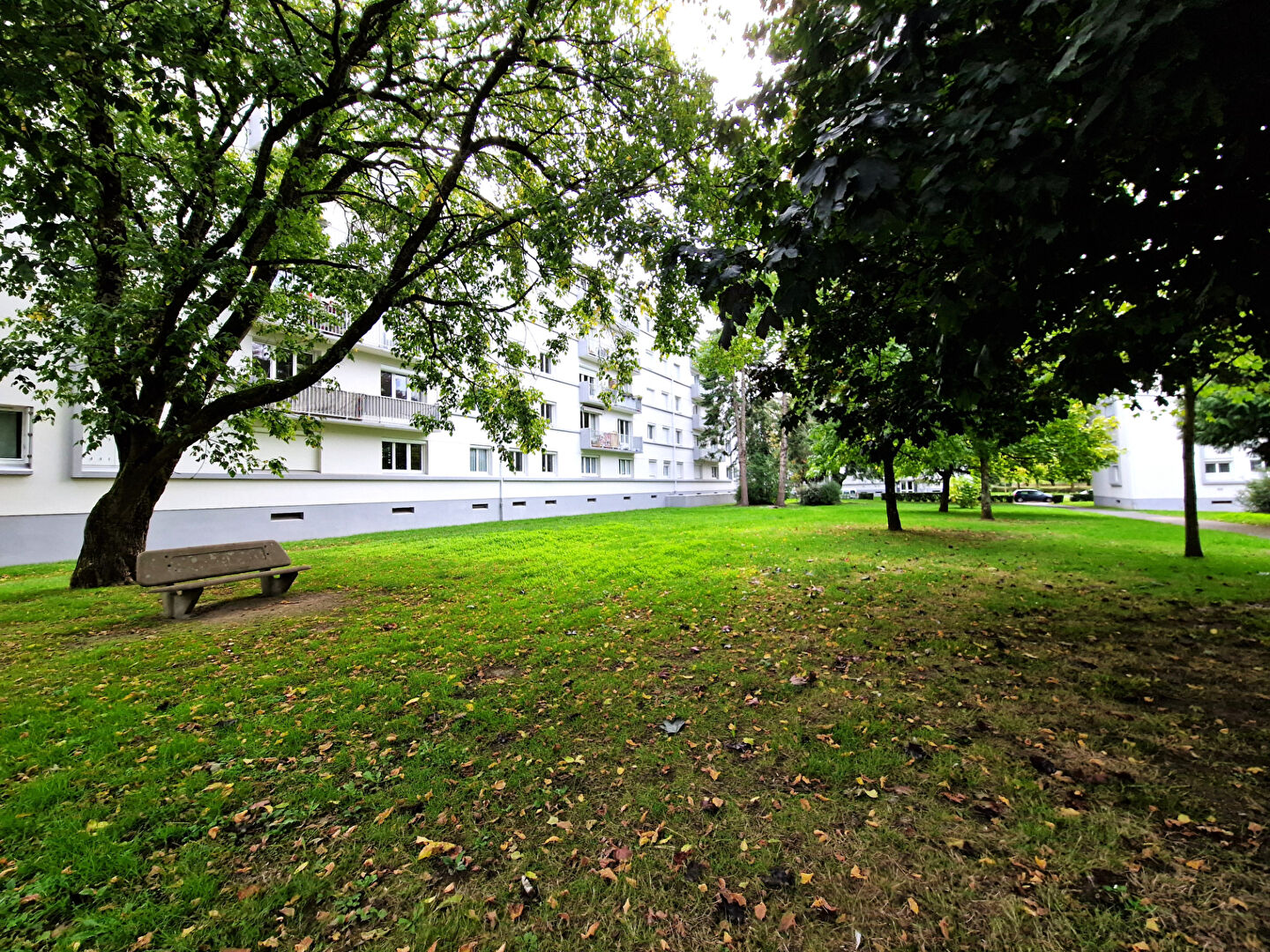 Agence immobilière de L'Adresse Agence 230