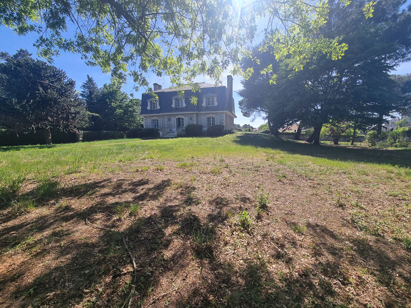 Agence immobilière de L'Adresse Agence 230