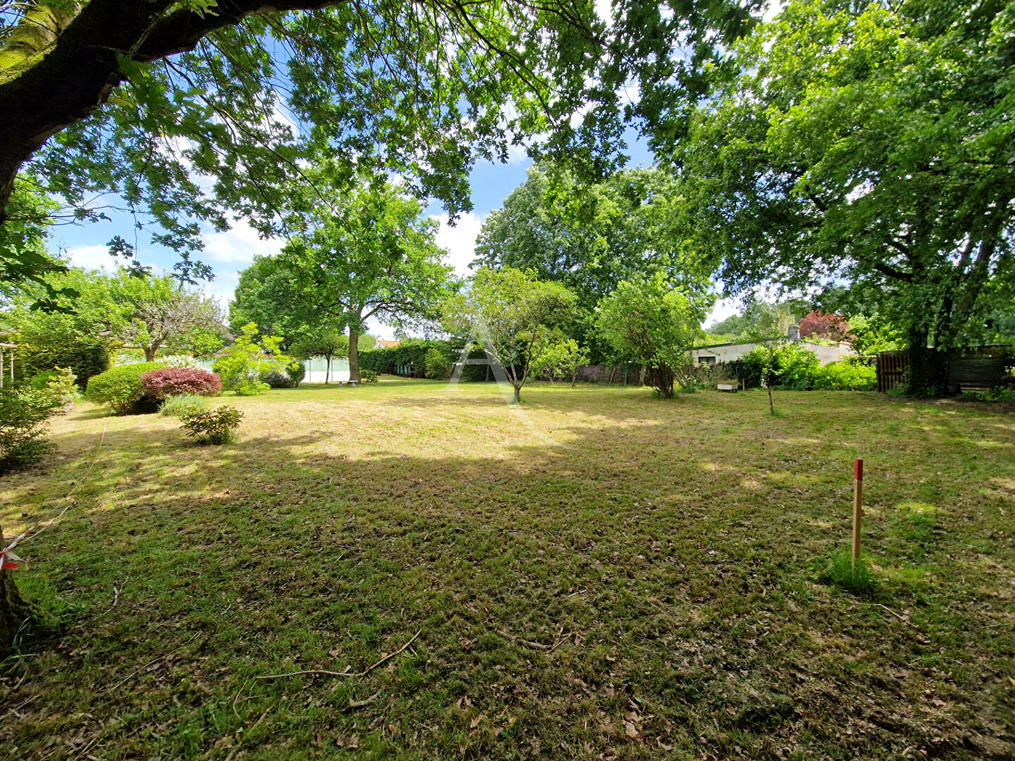 Agence immobilière de L'Adresse Agence 230