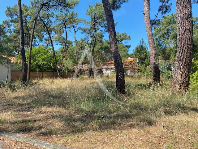 Photo Emplacement exceptionnel image 2/3