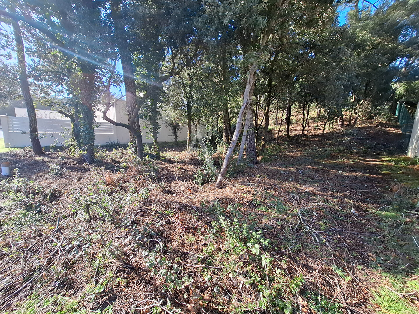 Agence immobilière de L'ADRESSE LA TRANCHE SUR MER