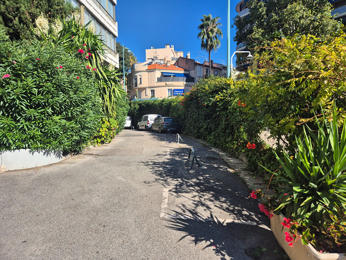 Agence immobilière de L'Adresse Nice Saint Roch