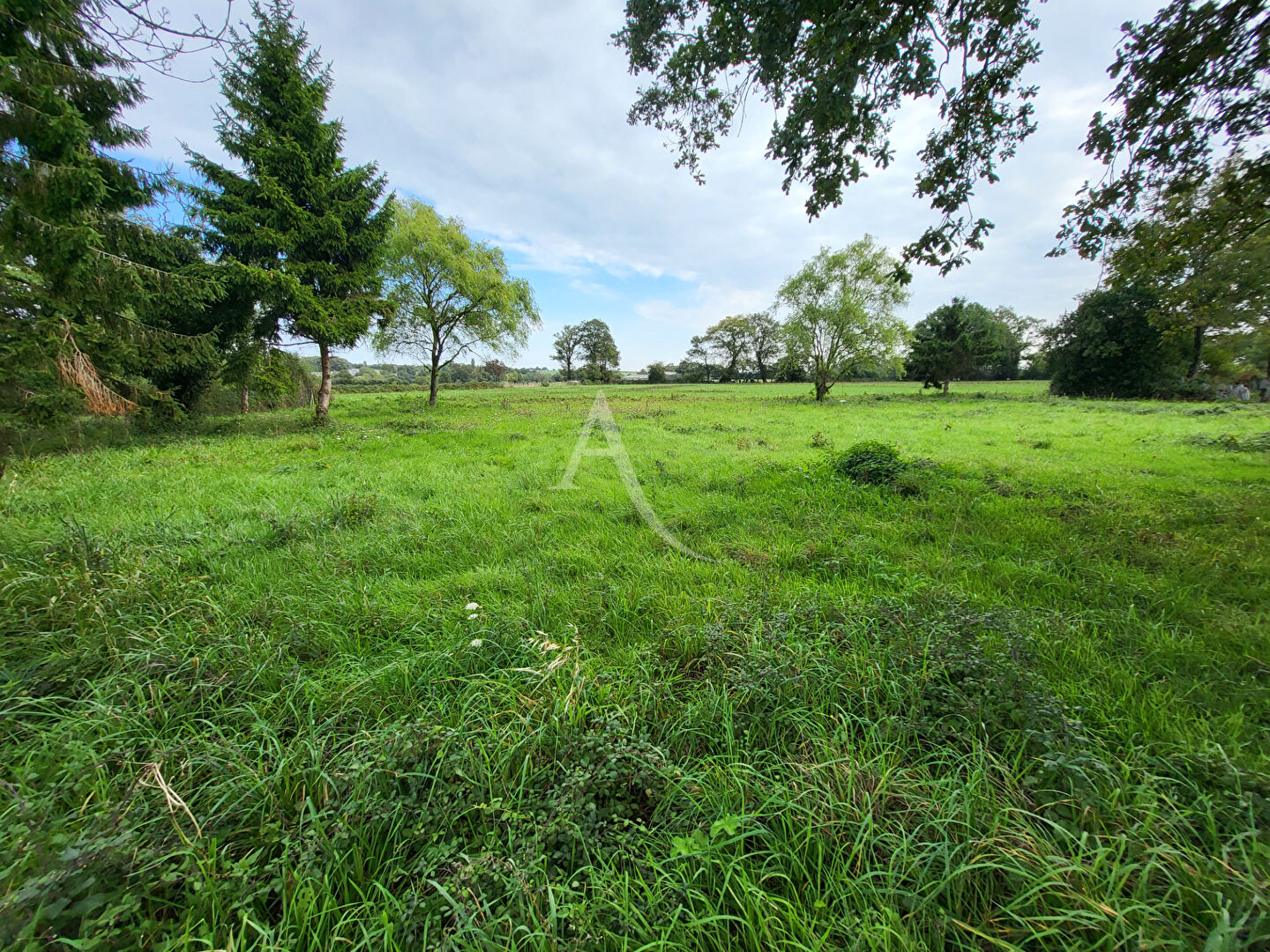 Agence immobilière de L'adresse Nozay
