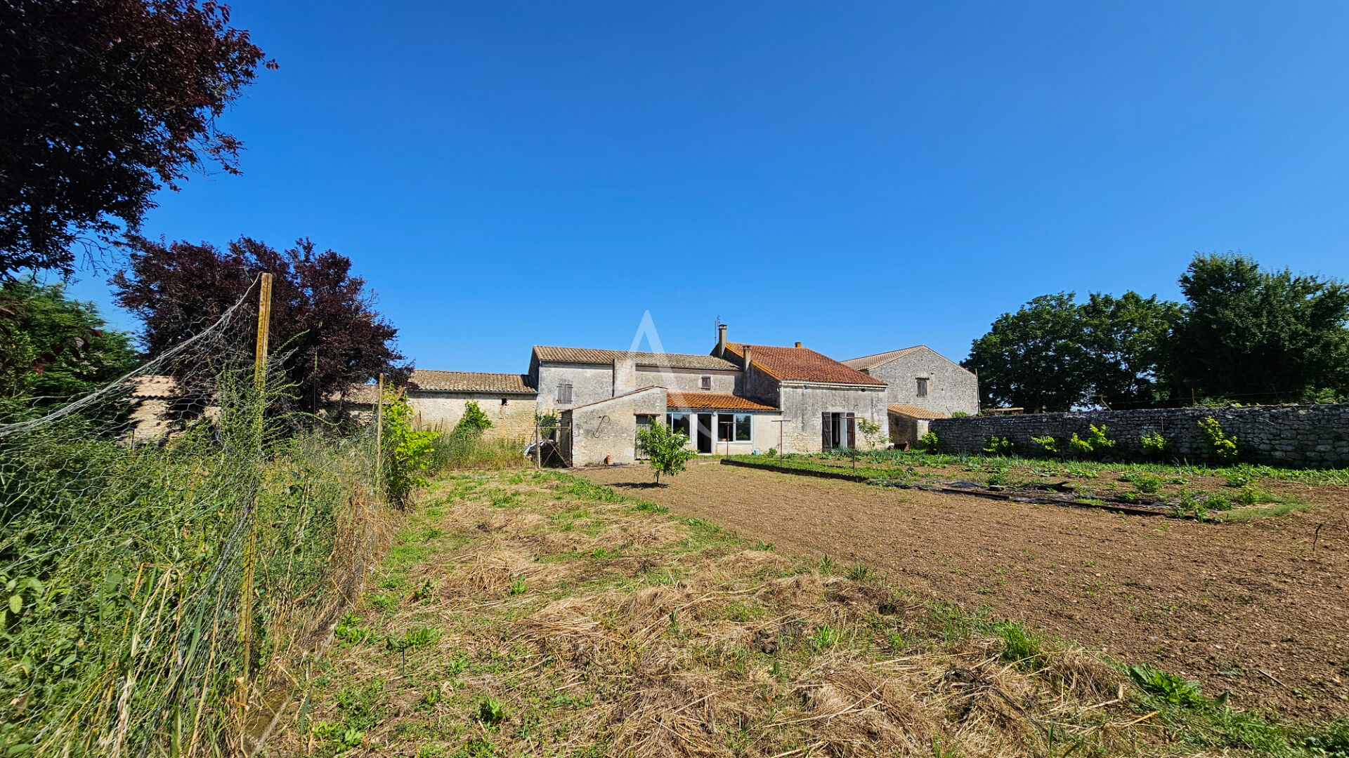 Photo MAISON CHARENTAISE AVEC DEPENDANCES SOUBISE image 4/6