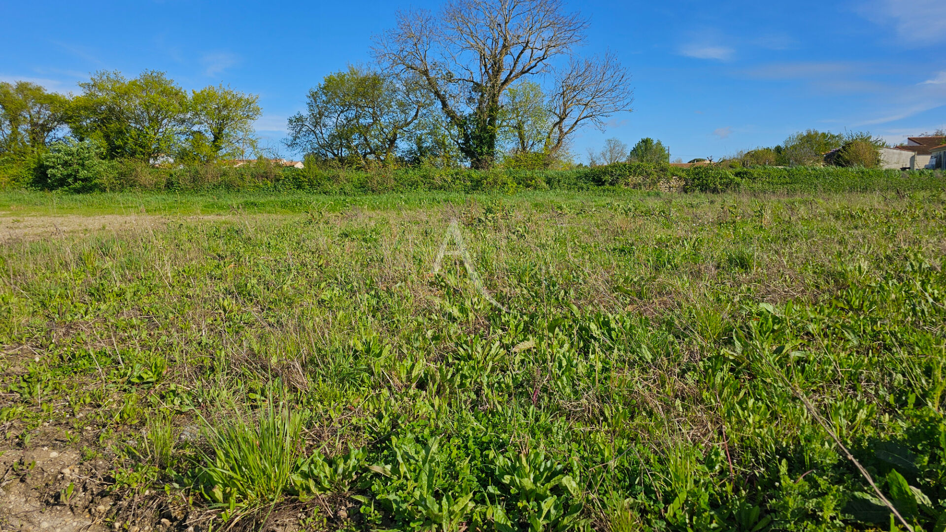 TERRAIN A BATIR  A LOIRE LES MARAIS