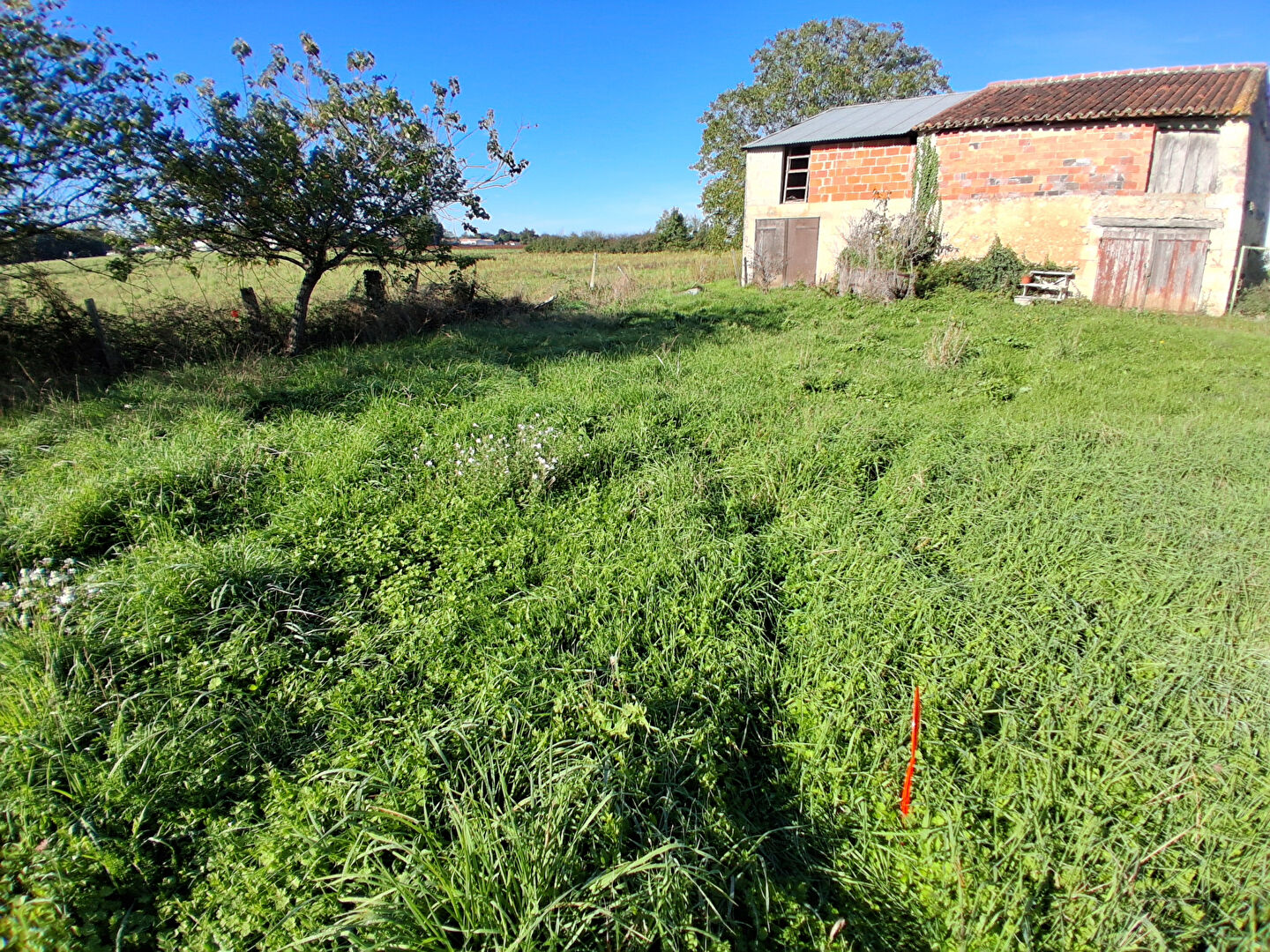 Terrain 1354 M2 avec parcelles à bâtir et verger