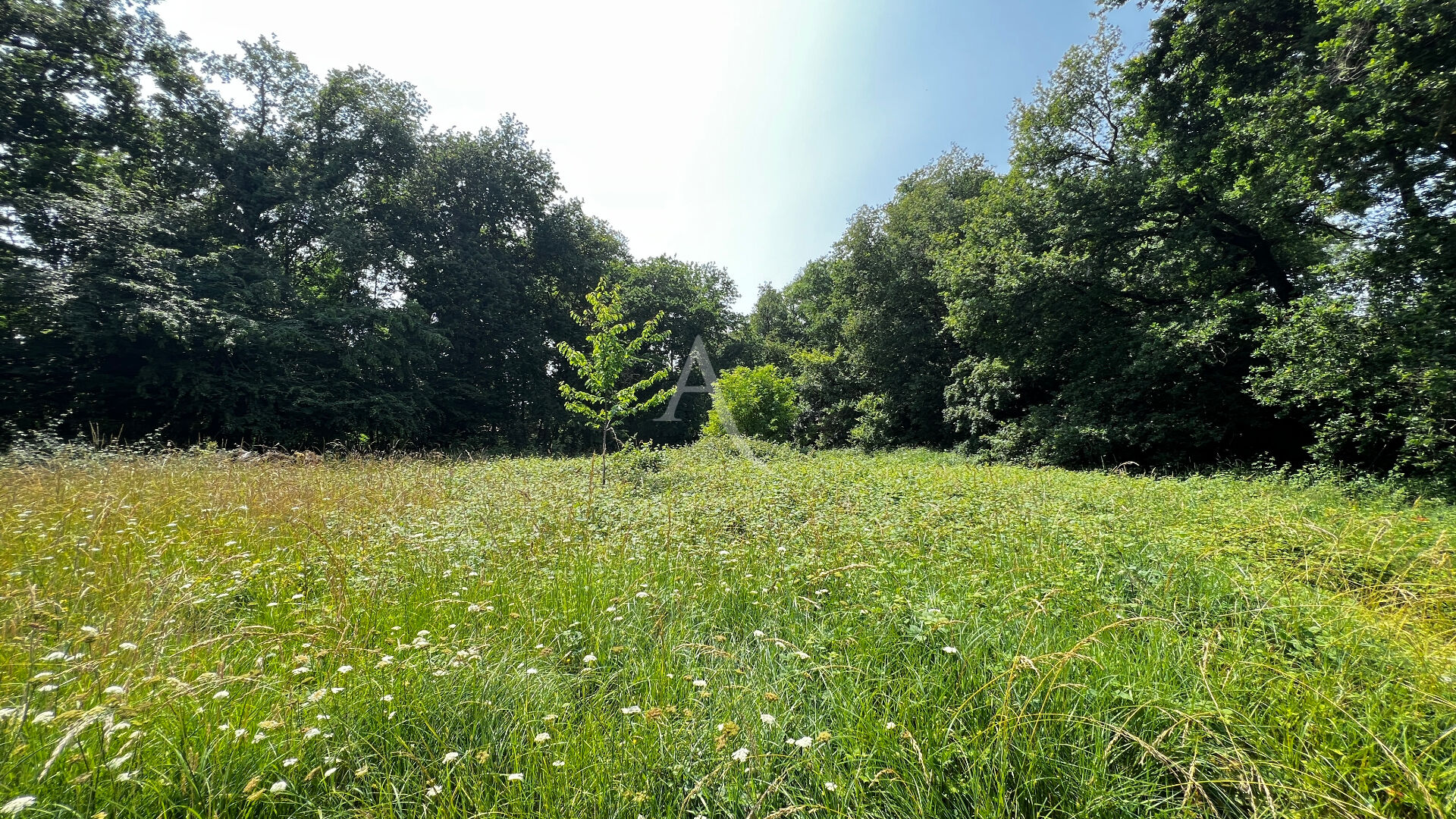 Agence immobilière de L'Adresse Saint-Agnant