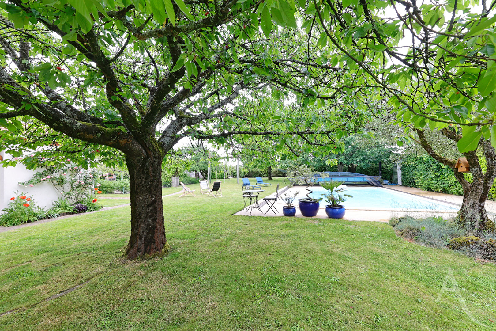 Photo Maison à vendre Montaigu-Vendee image 2/6