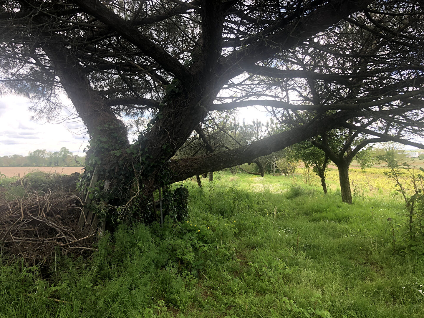 Photo Terrain de loisirs Montaigu Vendee image 3/6