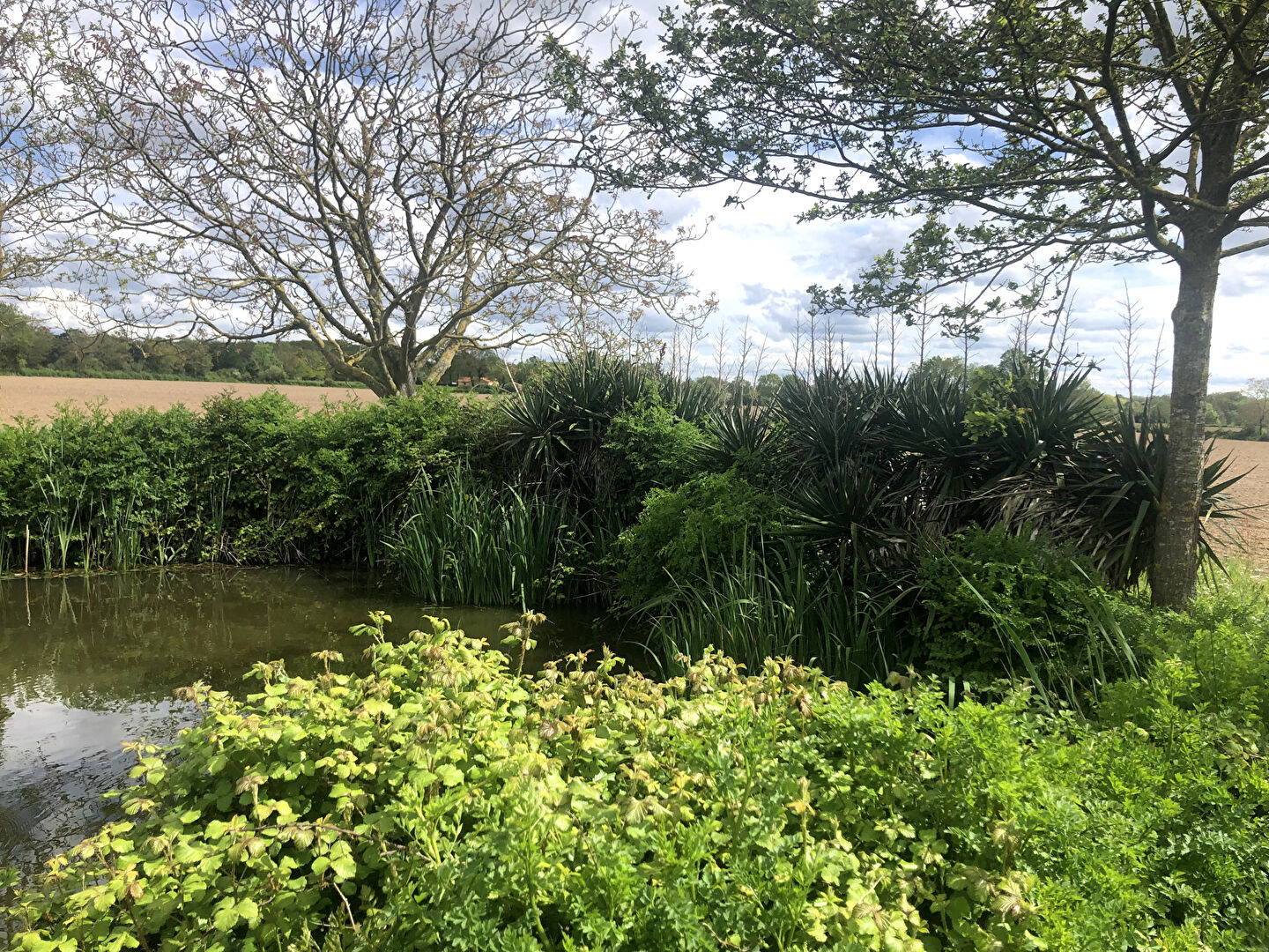 Photo Terrain de loisirs Montaigu Vendee image 4/6