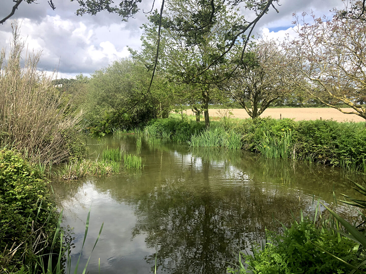 Photo Terrain de loisirs Montaigu Vendee image 5/6