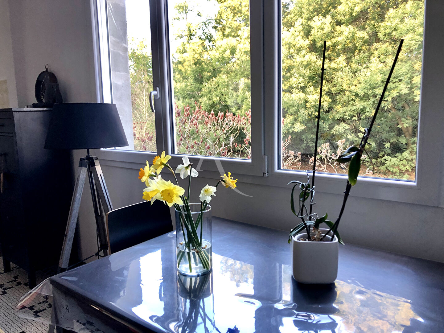 Photo Maison Montaigu Vendee image 5/6