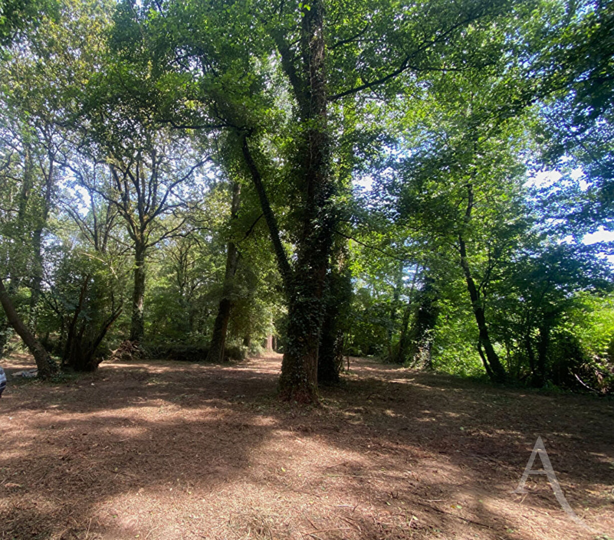 Agence immobilière de L'ADRESSE SUD LOIRE