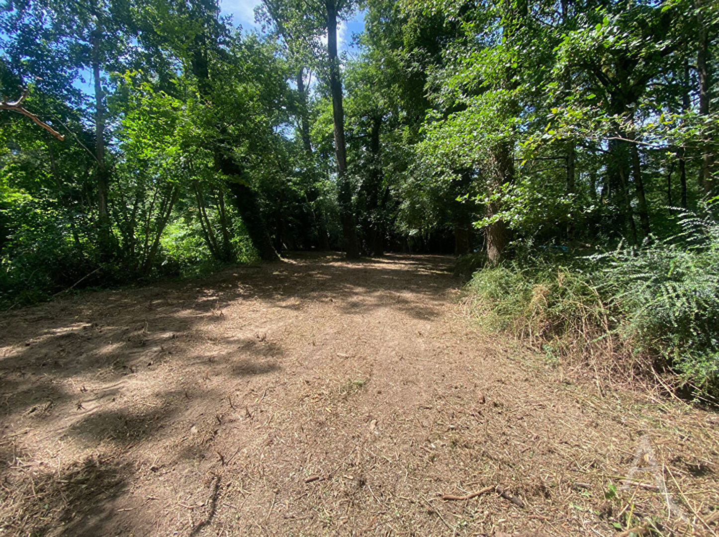 Terrain de loisirs Montreverd L'Herbergement