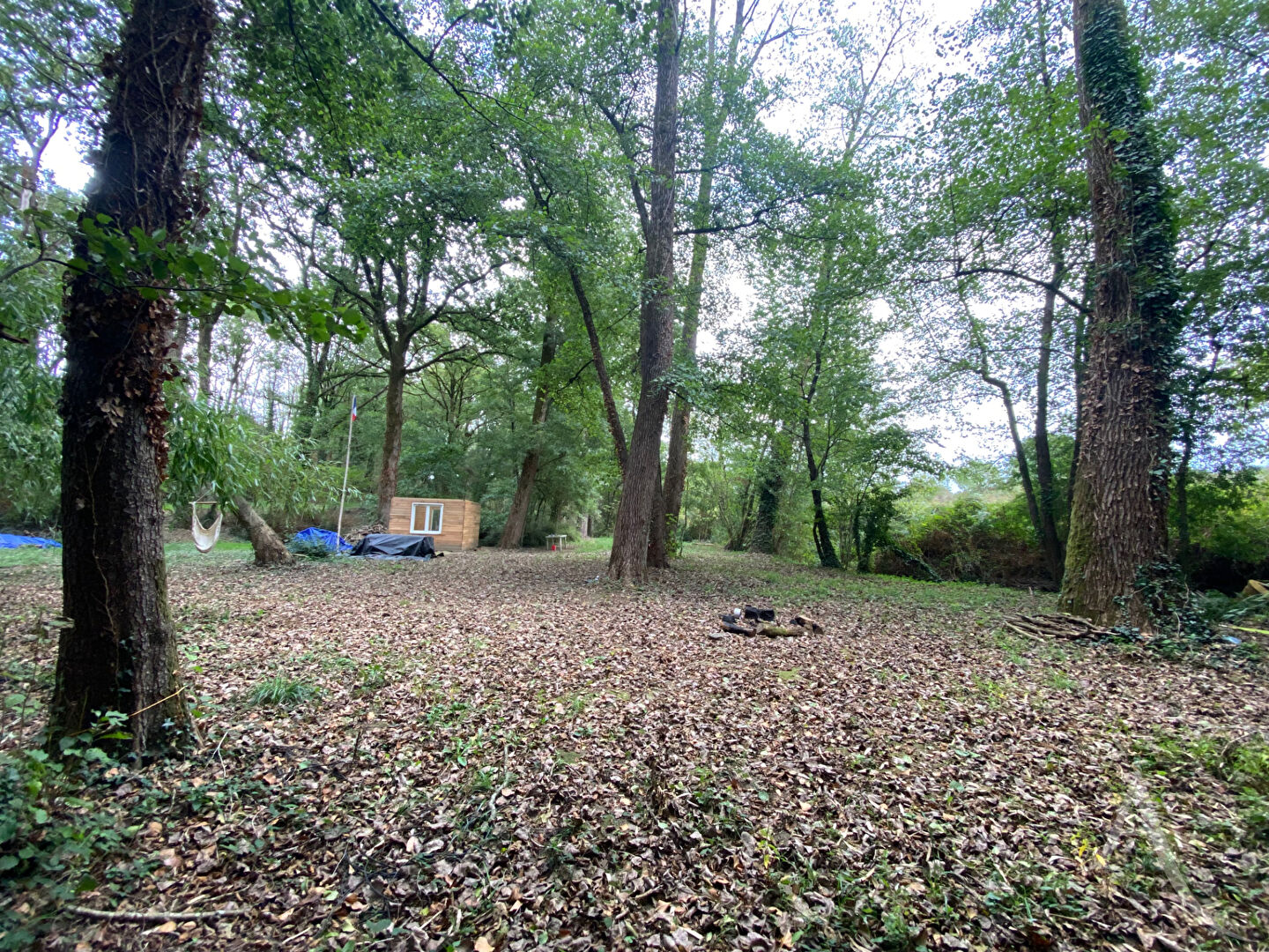 Photo Terrain de loisirs Montreverd L'Herbergement image 3/5