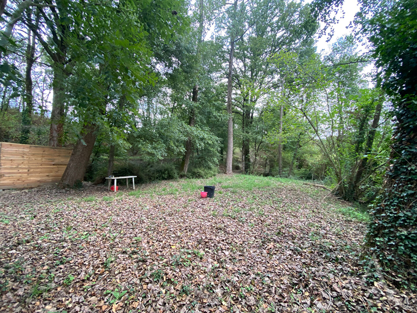 Photo Terrain de loisirs Montreverd L'Herbergement image 4/5