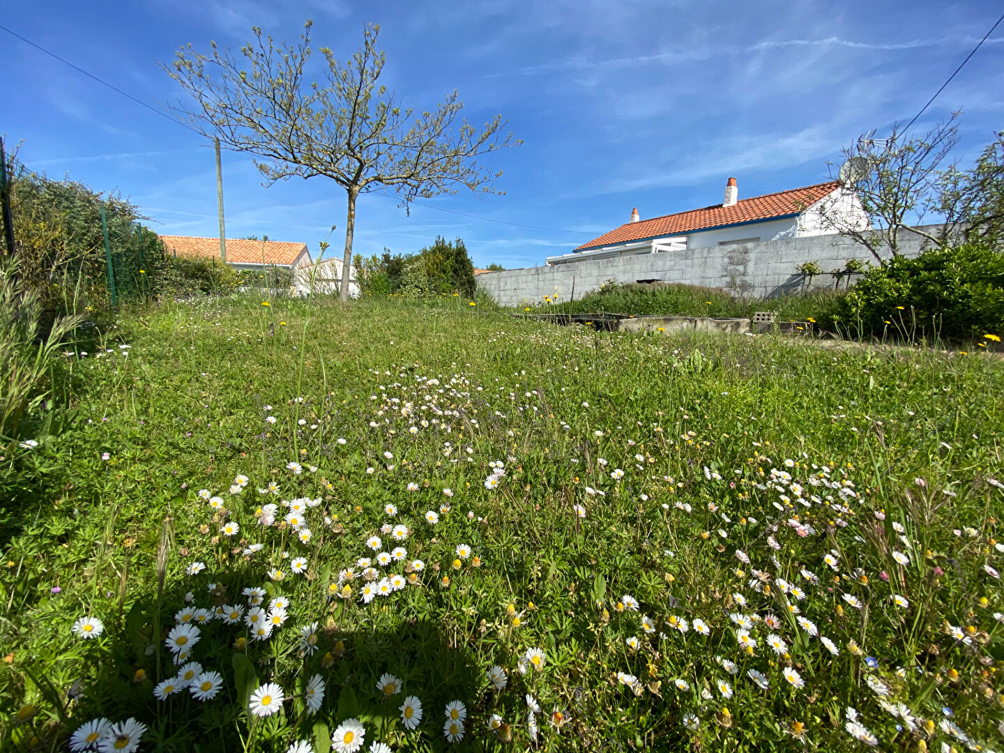 Agence immobilière de L'Adresse Bretignolles-sur-Mer