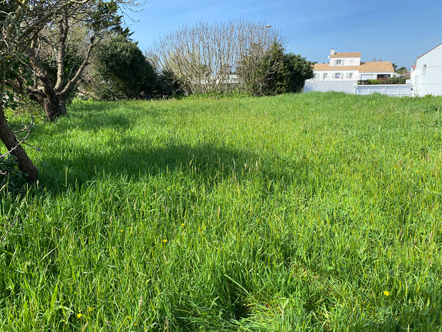 Agence immobilière de L'Adresse Bretignolles-sur-Mer