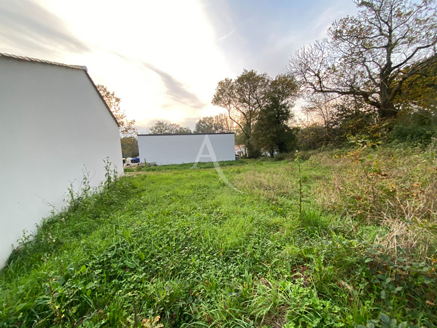 Photo MARTINET - Terrain - 410m² image 3/4