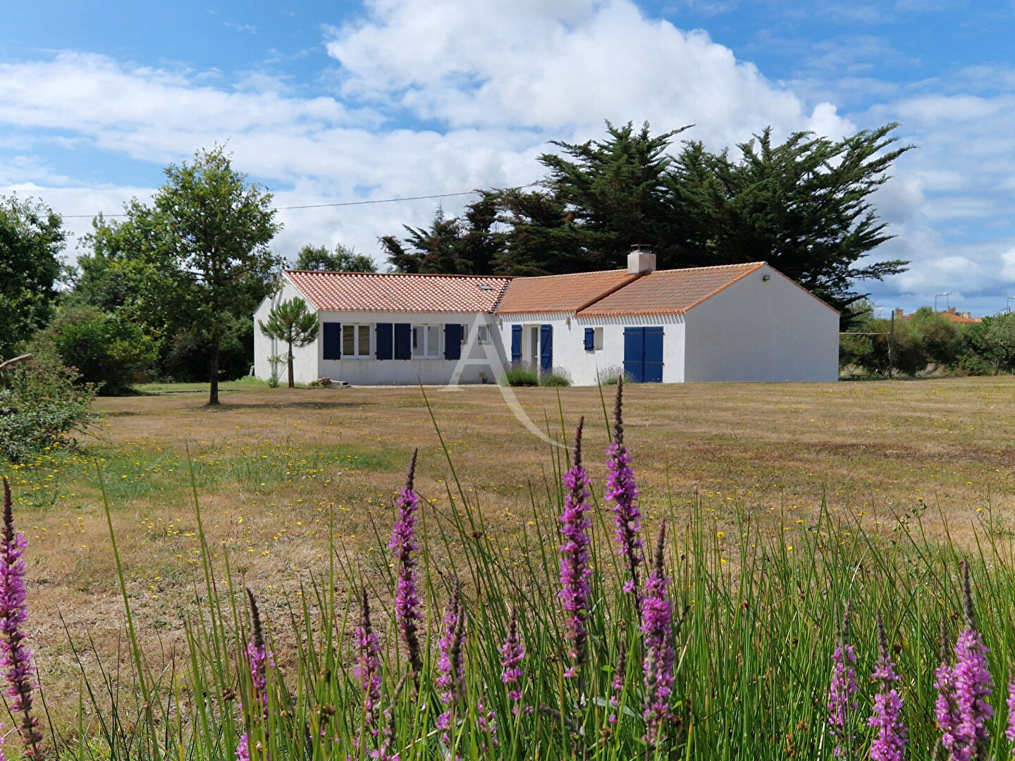 Agence immobilière de L'Adresse Bretignolles-sur-Mer