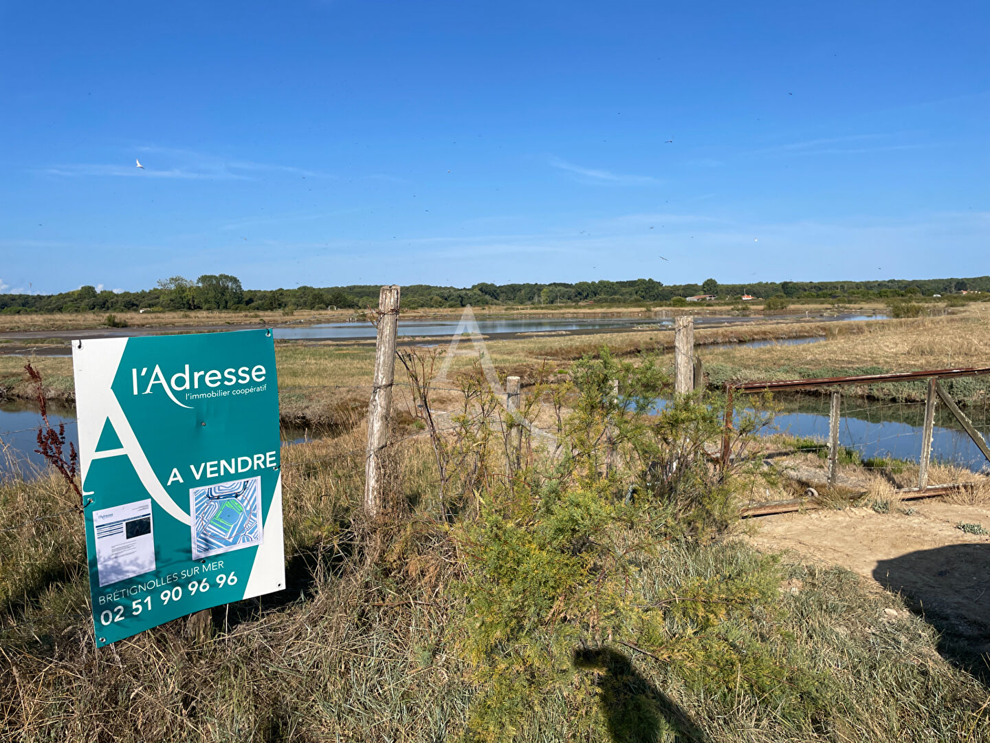 Agence immobilière de L'Adresse Bretignolles-sur-Mer
