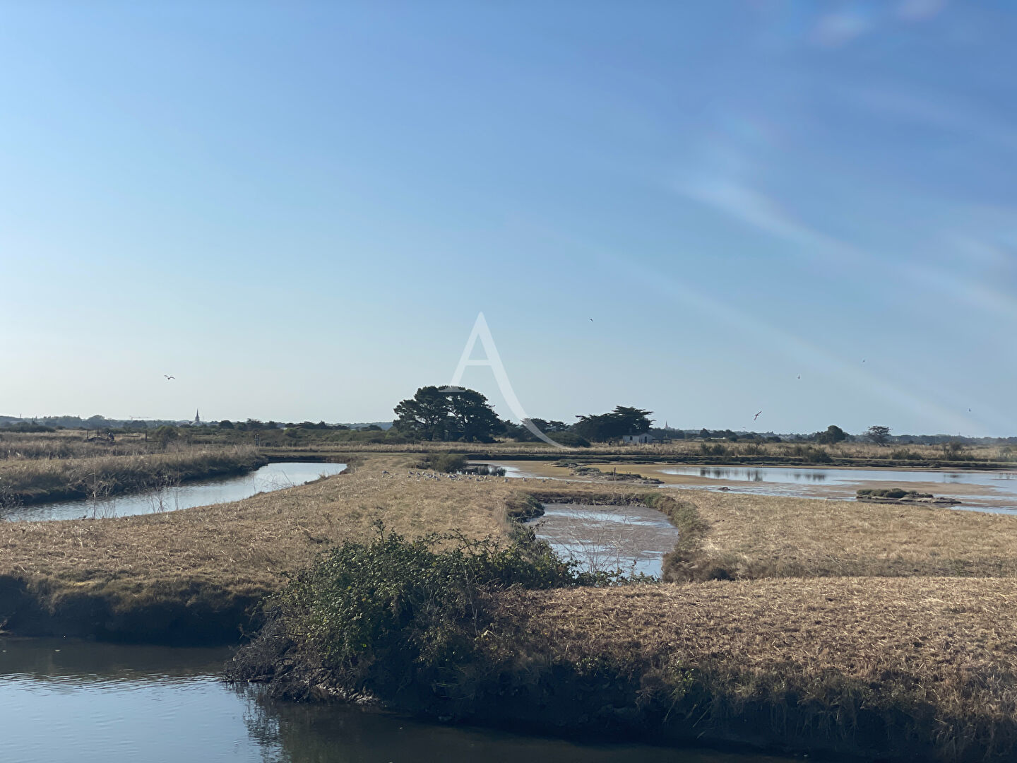 Agence immobilière de L'Adresse Bretignolles-sur-Mer