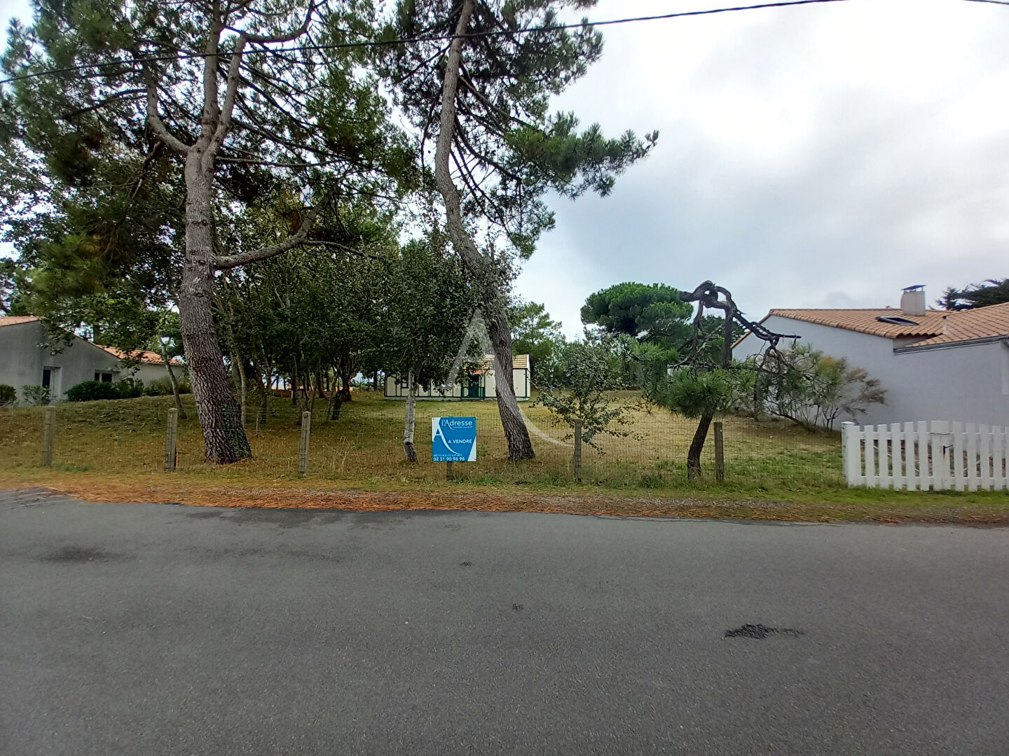 Photo Terrain Bretignolles Sur Mer 1168 m2 image 2/3