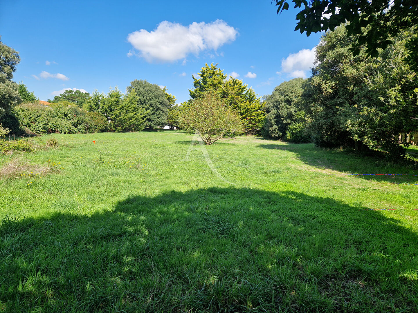 Photo Terrain Brem Sur Mer image 2/3