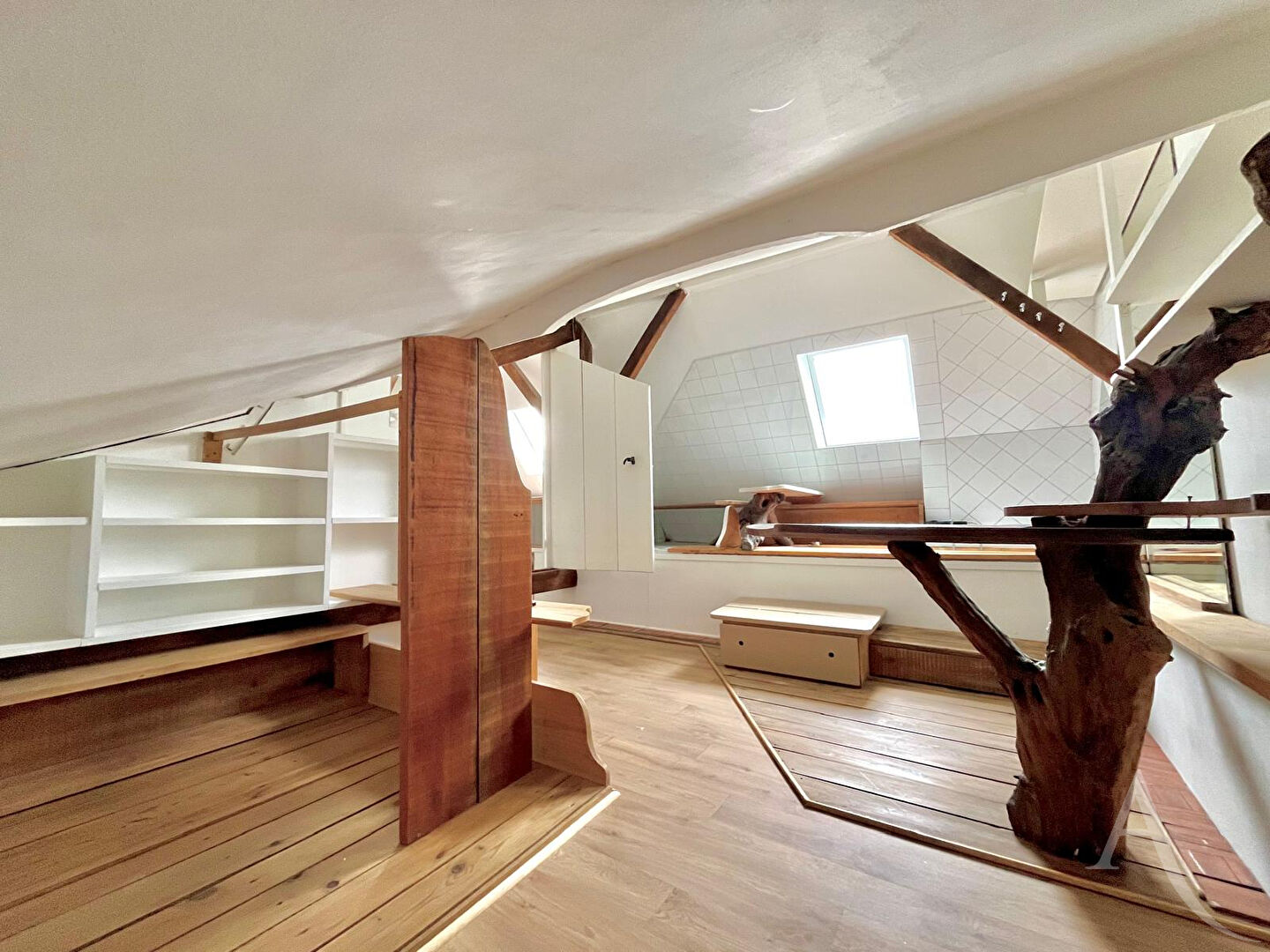 Photo Bas Montreuil image 3/6