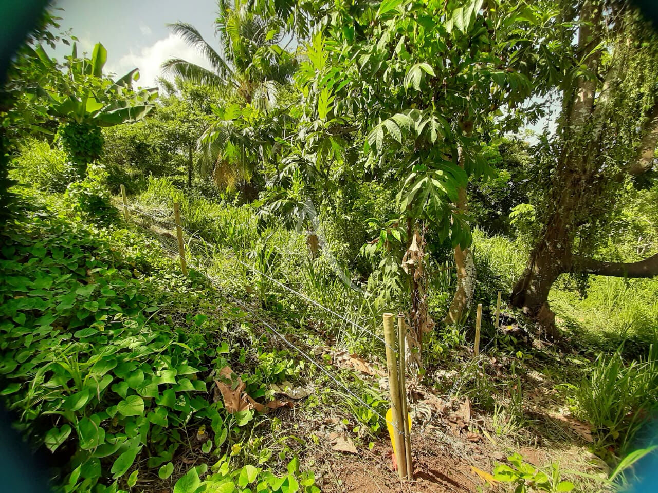 Photo Terrain de 1082 m² image 1/5