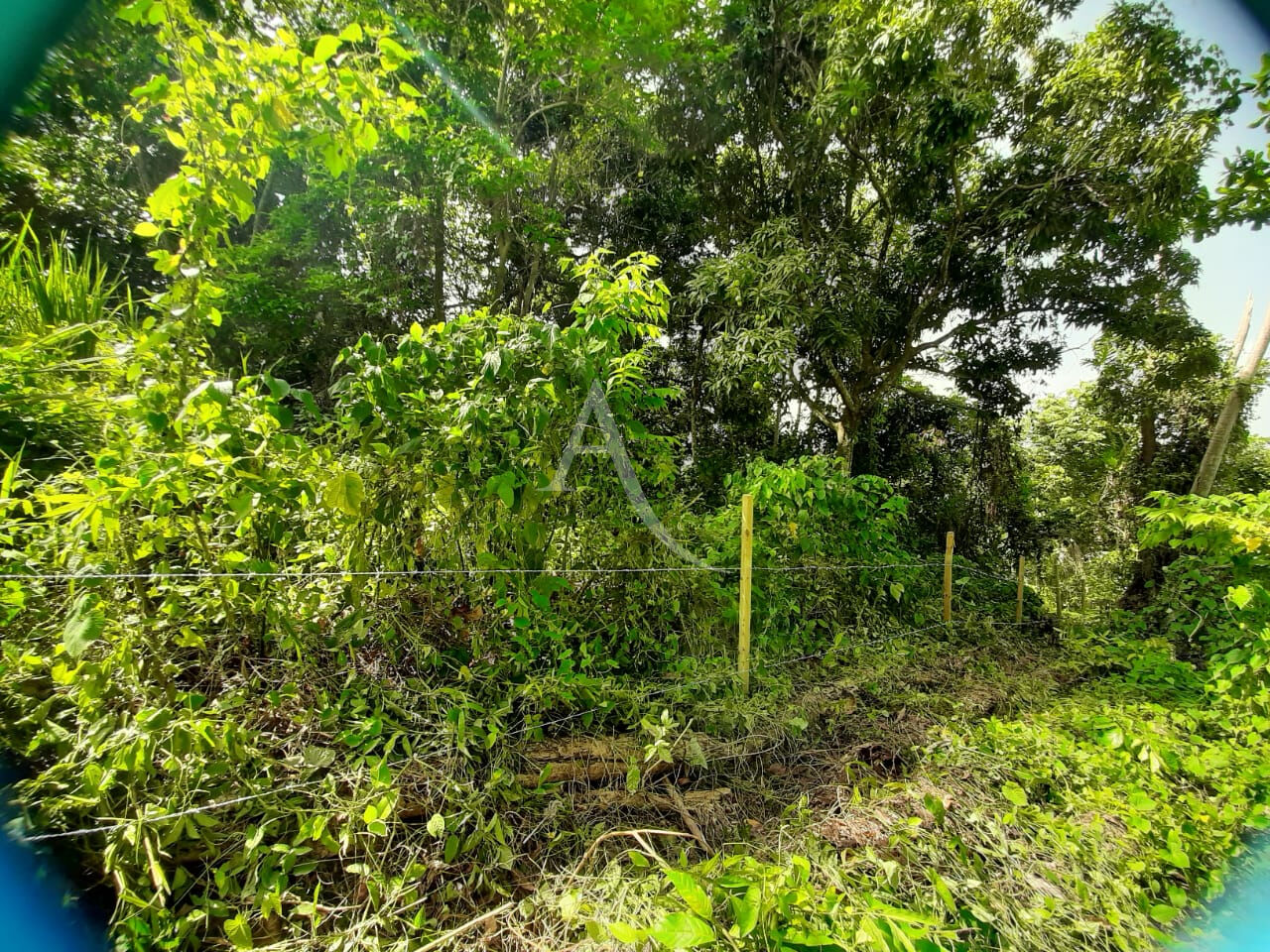 Photo Terrain de 1082 m² image 2/5