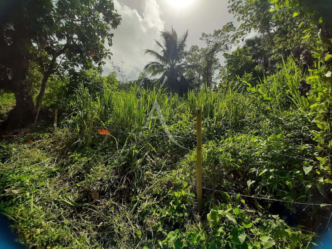 Photo Terrain de 1082 m² image 3/5