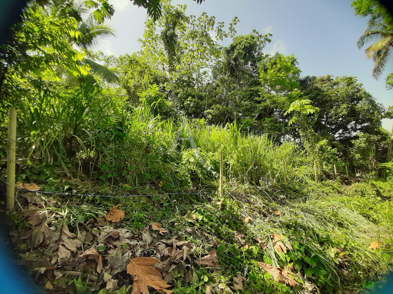 Photo Terrain de 1082 m² image 4/5