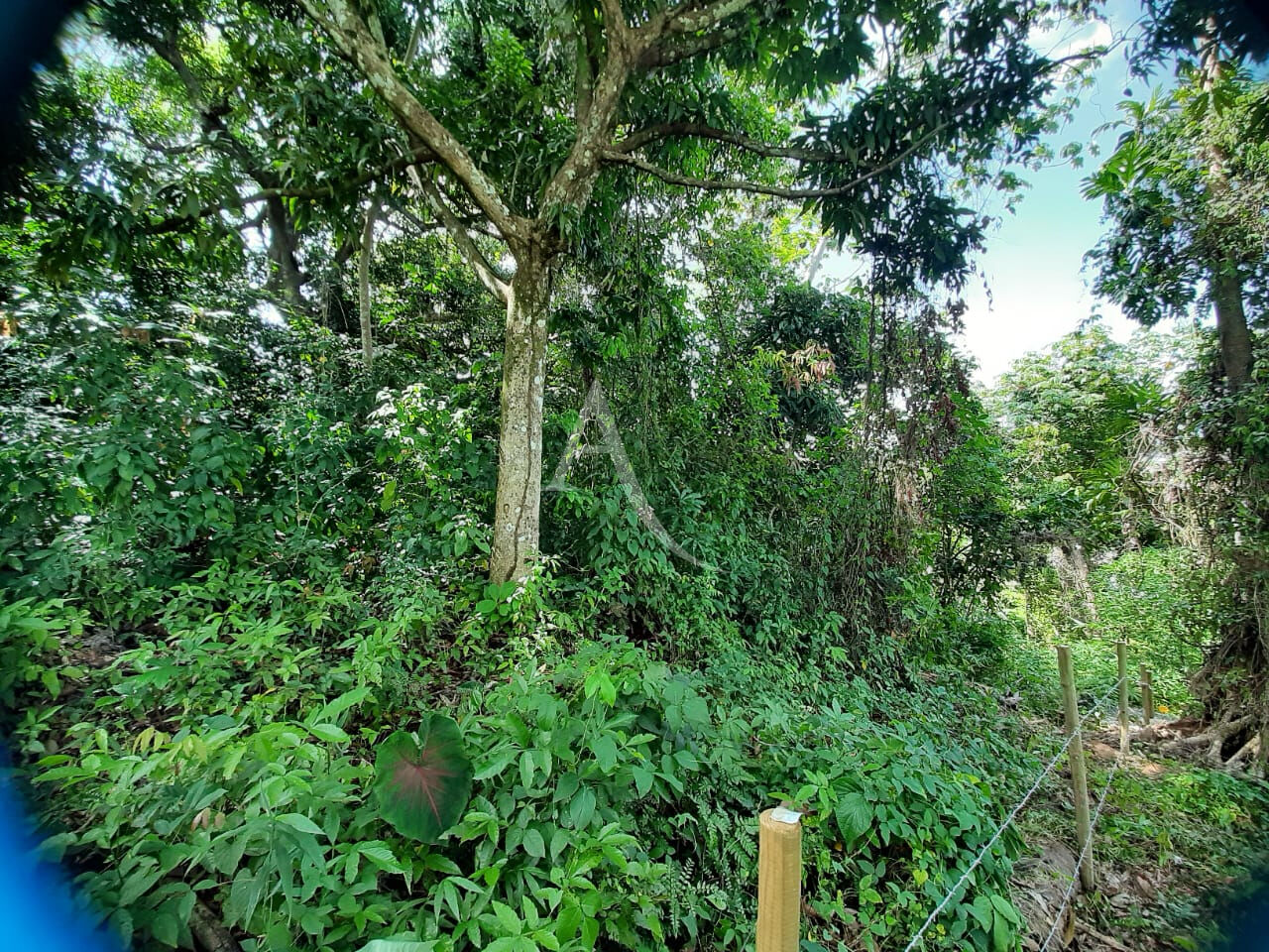 Photo Terrain de 1082 m² image 5/5