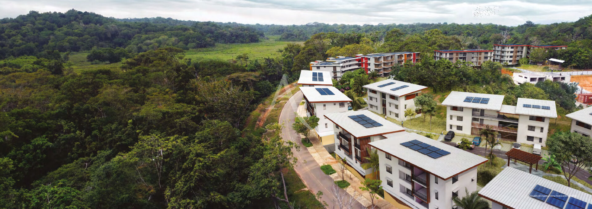 Photo Remire Montjoly T3 en VEFA image 1/5