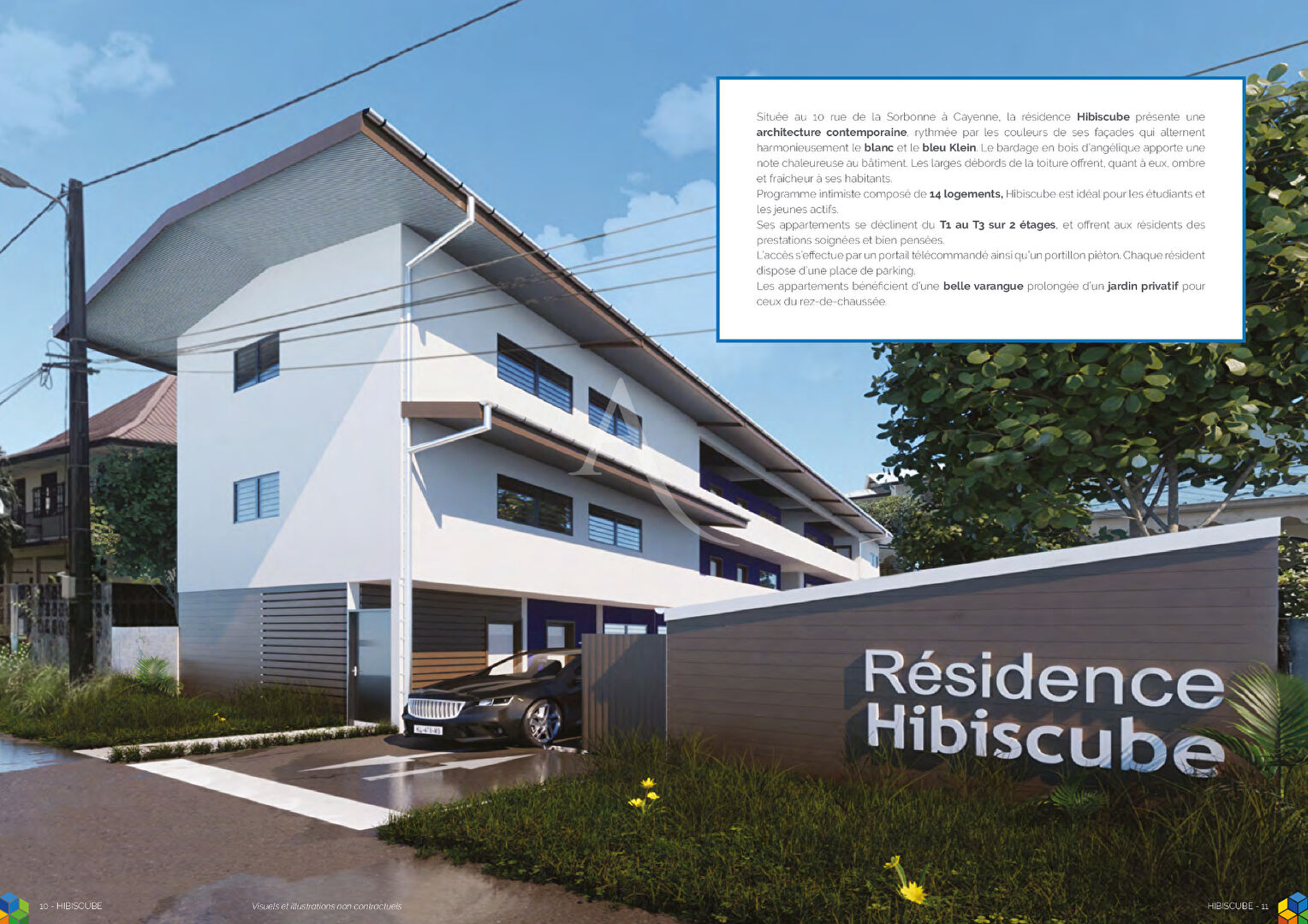 Photo CAYENNE Grand T2 en VEFA image 4/4