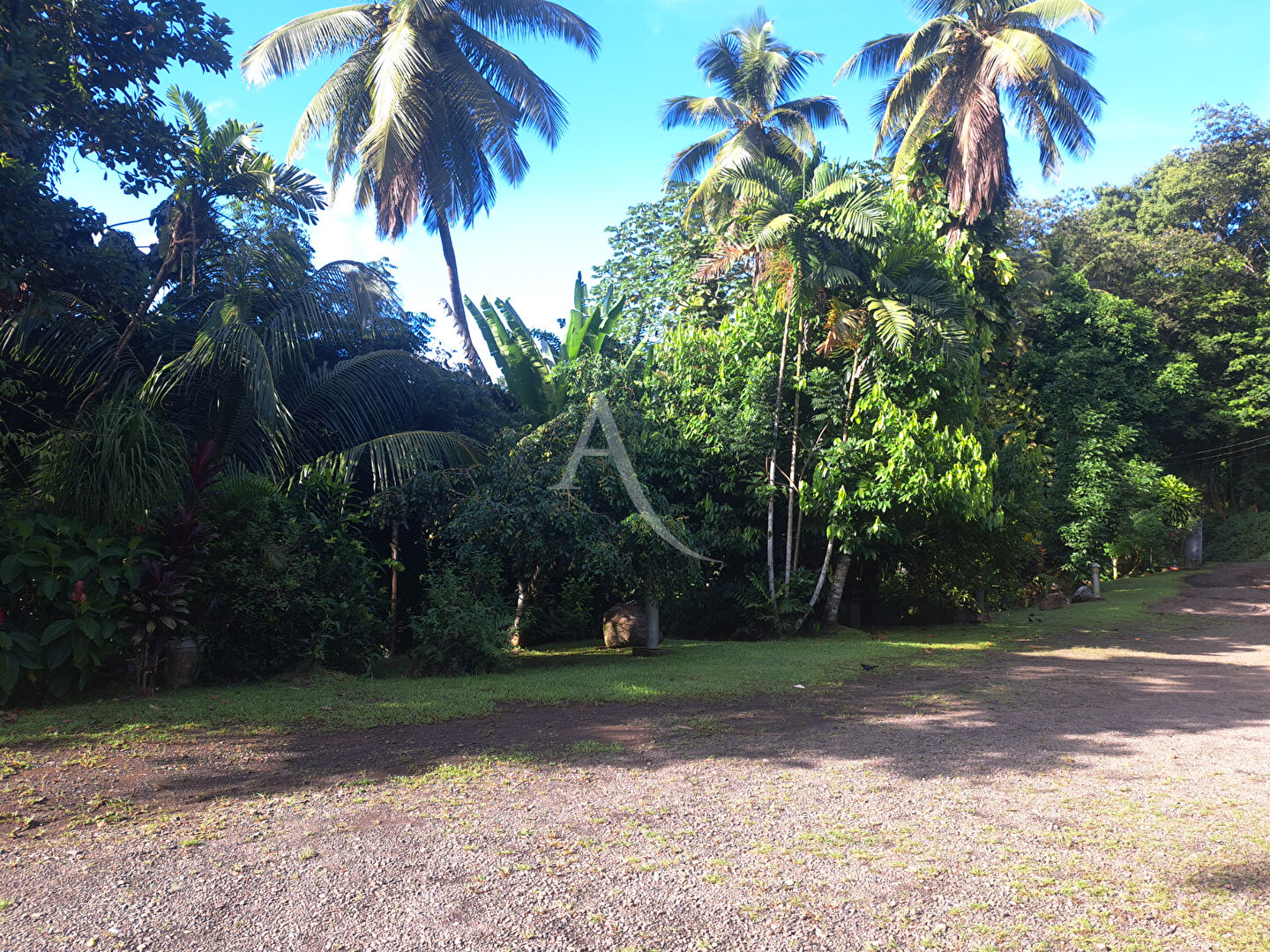 Local d'activité Saint-joseph sur 4450 m².