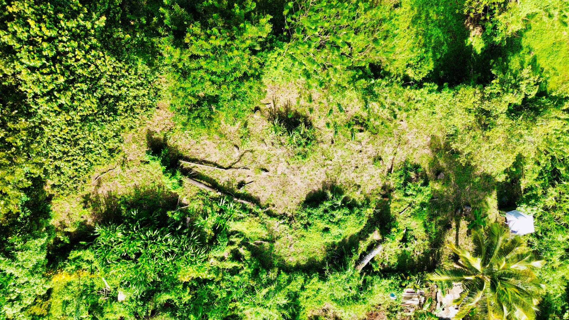 Photo Terrain de 864 m2 à Sainte-Luce, environnement naturel et paisible image 1/3