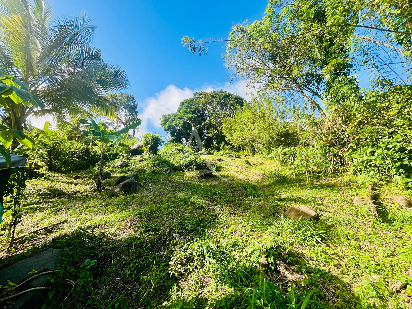 Photo Terrain de 864 m2 à Sainte-Luce, environnement naturel et paisible image 2/3
