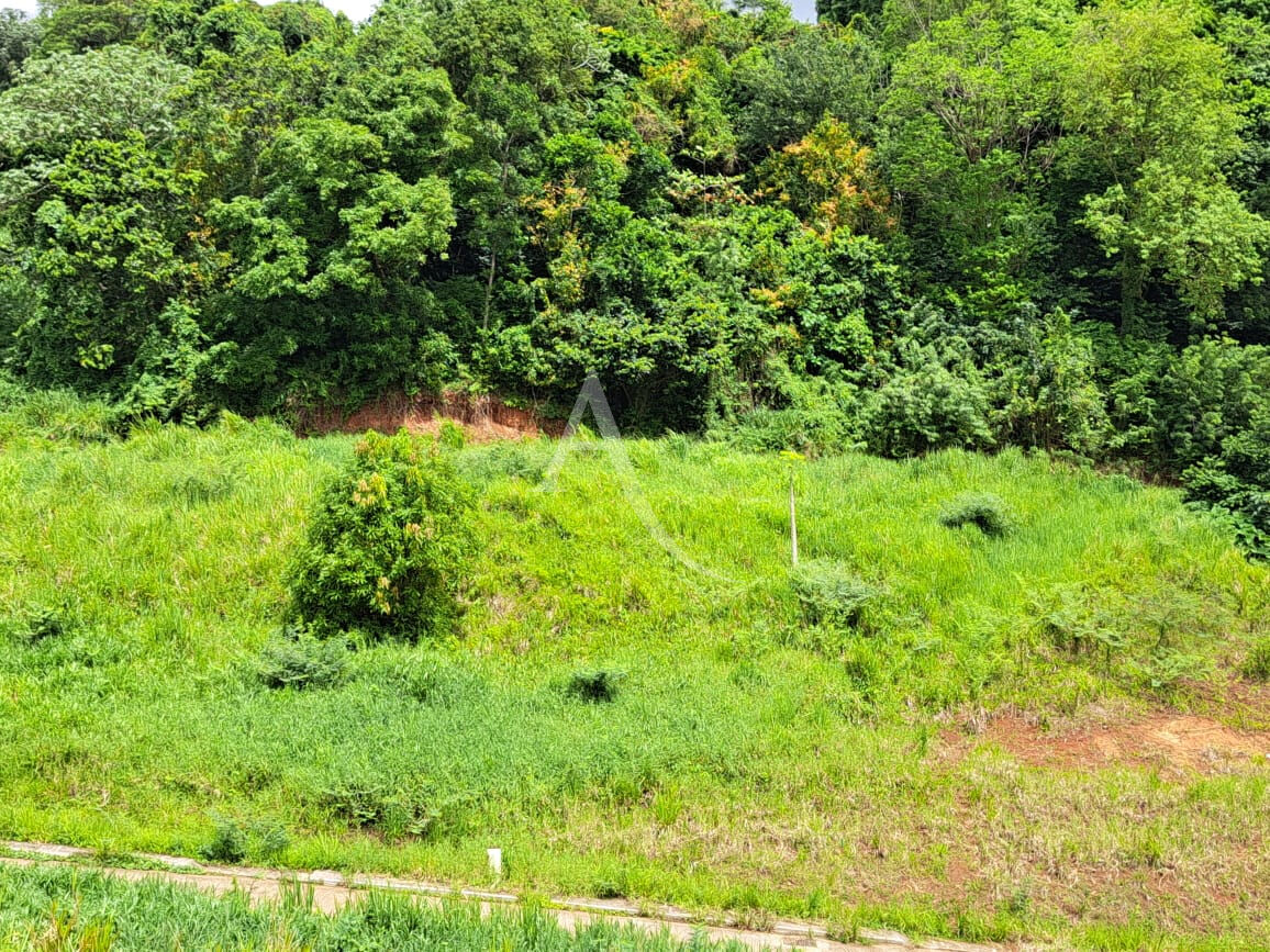 Photo A DUCOS: 8 lots viabilisés à construire en lotissement. image 3/6