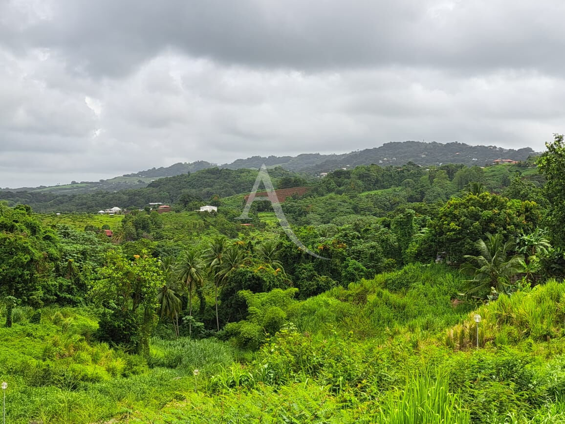 Photo A DUCOS: 8 lots viabilisés à construire en lotissement. image 4/6