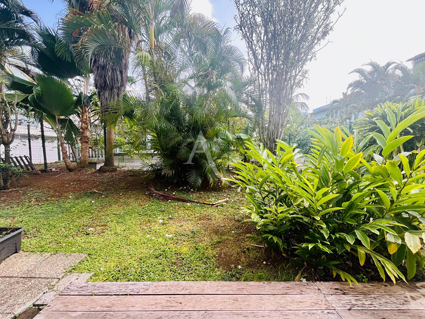 Photo Appartement meublé avec terrasse - Rez-de-chaussée, Pointe-du-Bout image 3/6