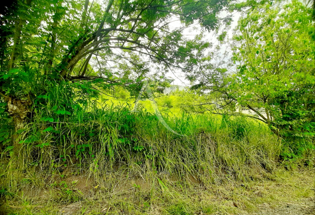 Terrain pentue 922 m2 à viabiliser, zone U3, Sainte-Luce vue montagne imprenable, PEPITE A SAISIR !!!!!