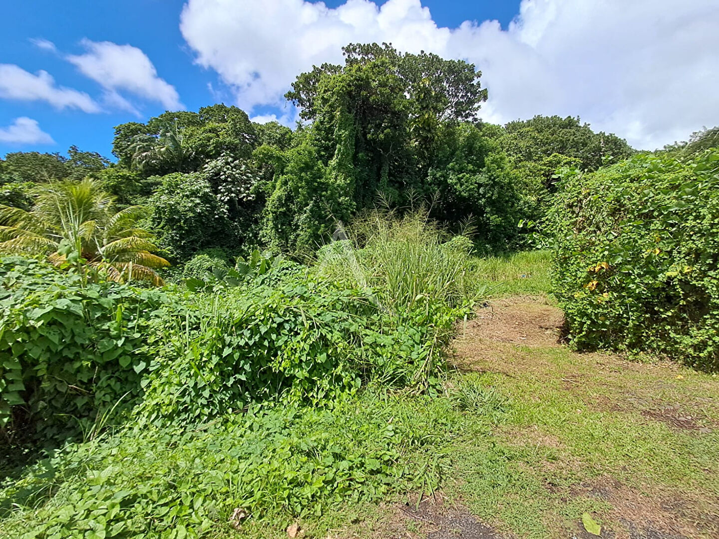 MAGNIFIQUE TERRAIN PLAT CONSTRUCTIBLE  SUR RAVINE VILAINE