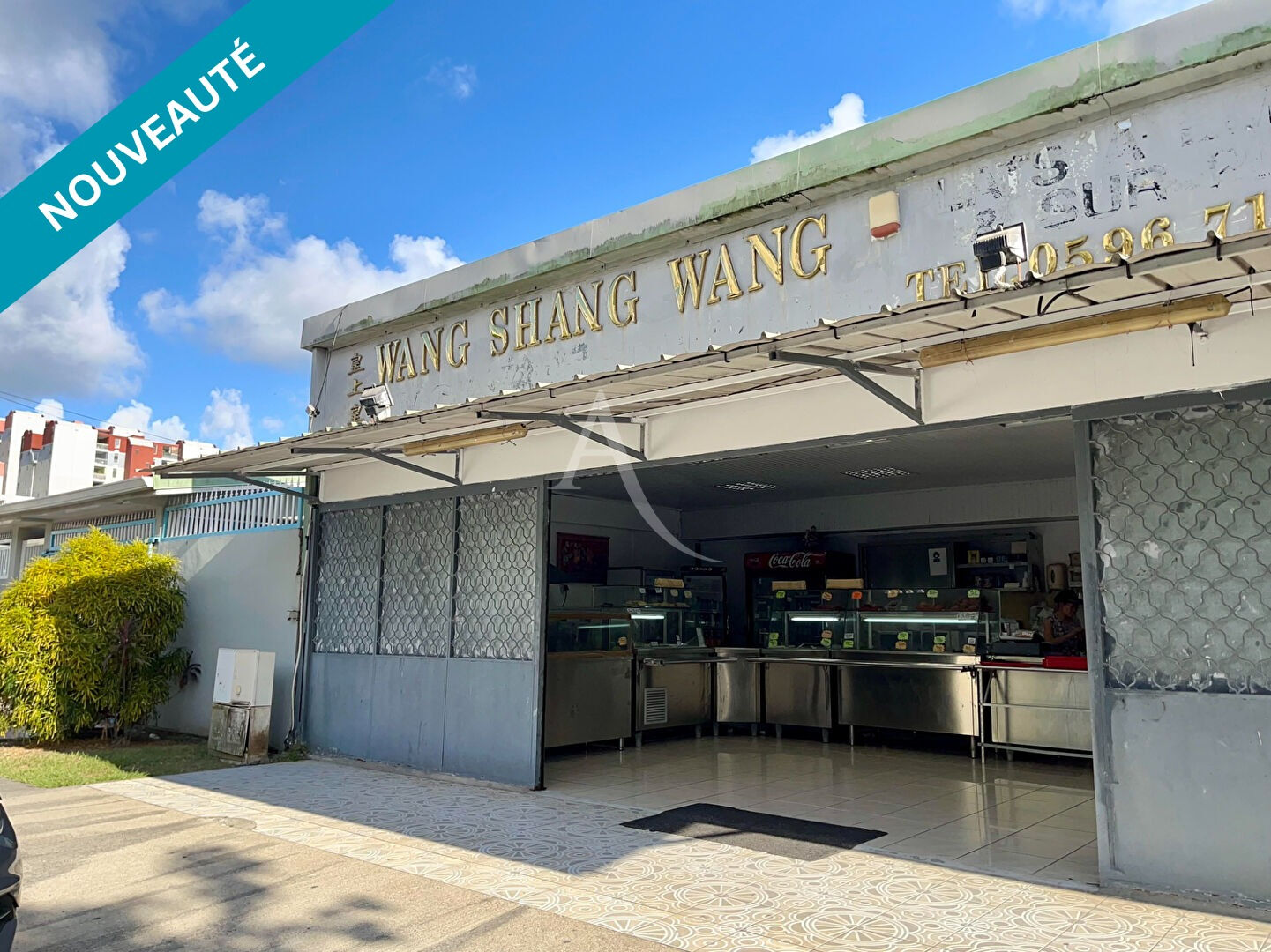 NOUVEAUTE: FORT-DE-FRANCE: Immeuble de plain pieds d'environ 195 m²